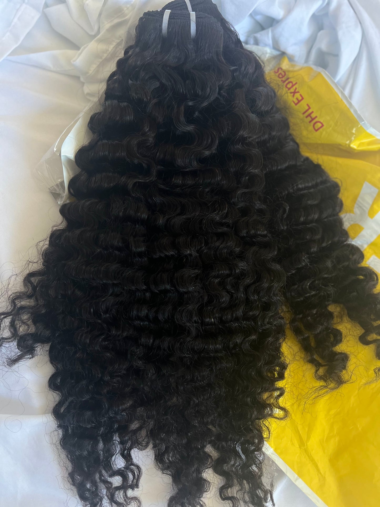 Burma Curly